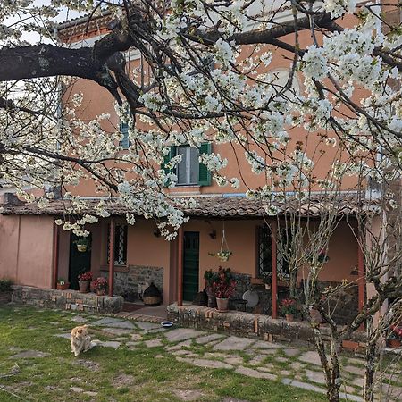 Отель Dimora Marella Patrica - Frosinone Экстерьер фото