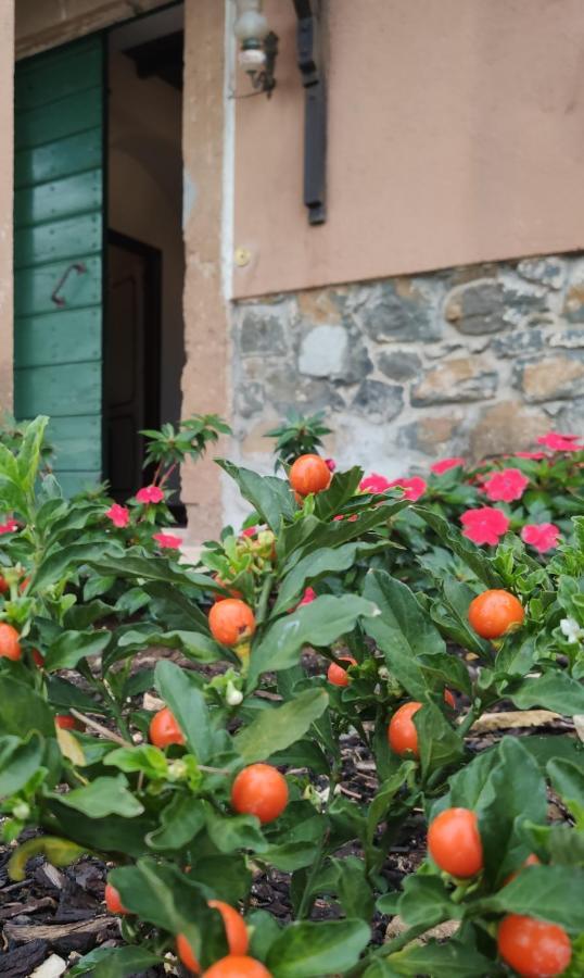 Отель Dimora Marella Patrica - Frosinone Экстерьер фото