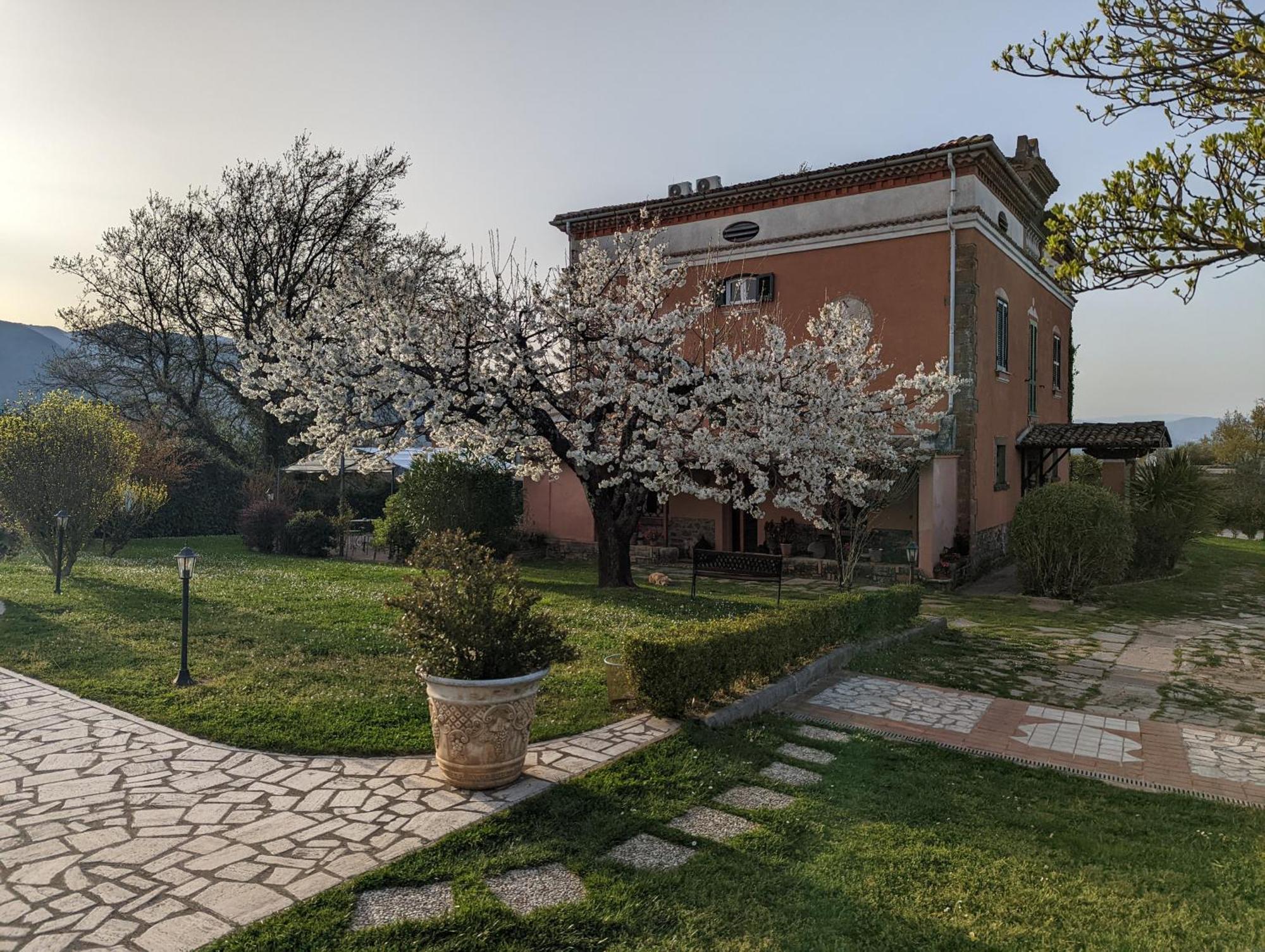 Отель Dimora Marella Patrica - Frosinone Экстерьер фото